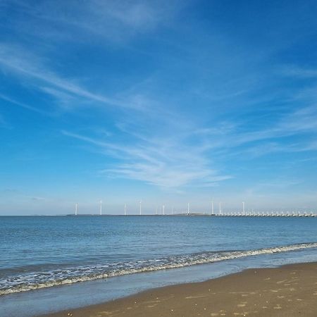 Ruime Vrijstaande Vakantiewoning Aan Veerse Meer, 6 Persoons Wolphaartsdijk Екстериор снимка