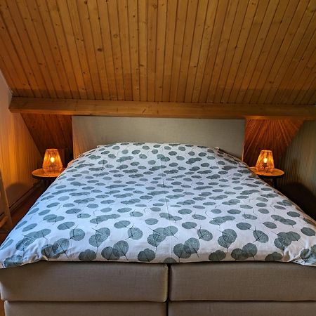 Ruime Vrijstaande Vakantiewoning Aan Veerse Meer, 6 Persoons Wolphaartsdijk Екстериор снимка