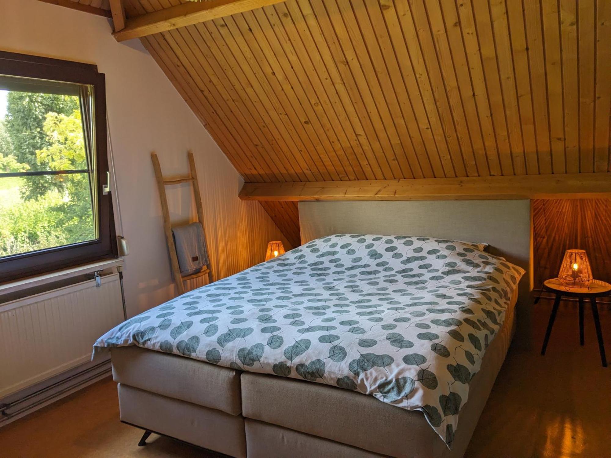Ruime Vrijstaande Vakantiewoning Aan Veerse Meer, 6 Persoons Wolphaartsdijk Екстериор снимка